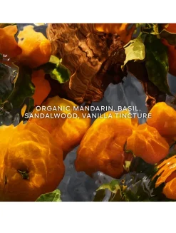 Aqua Allegoria Forte Mandarine Basilic Eau de Parfum - Refill