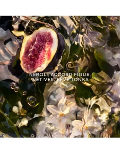 Aqua Allegoria Forte Nerolia Vetiver Eau de Parfum
