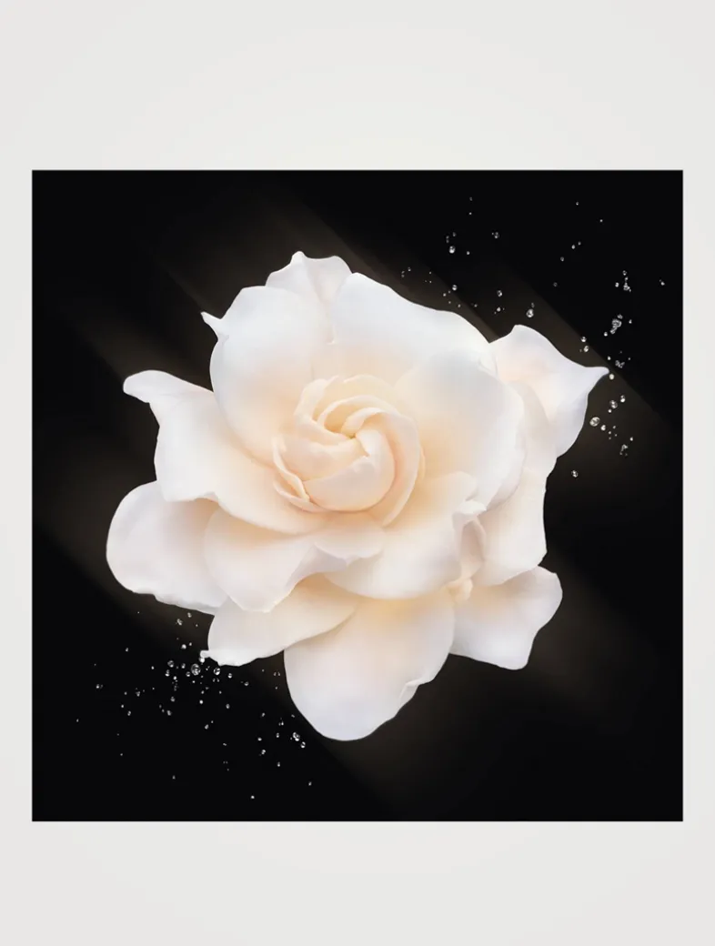 Armani/Privé Gardénia Antigua Eau de Toilette