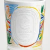 Citronnelle (Lemongrass) Indoor & Outdoor Scented Candle