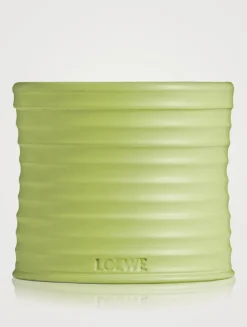 Cucumber Candle