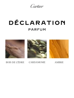 Déclaration Parfum