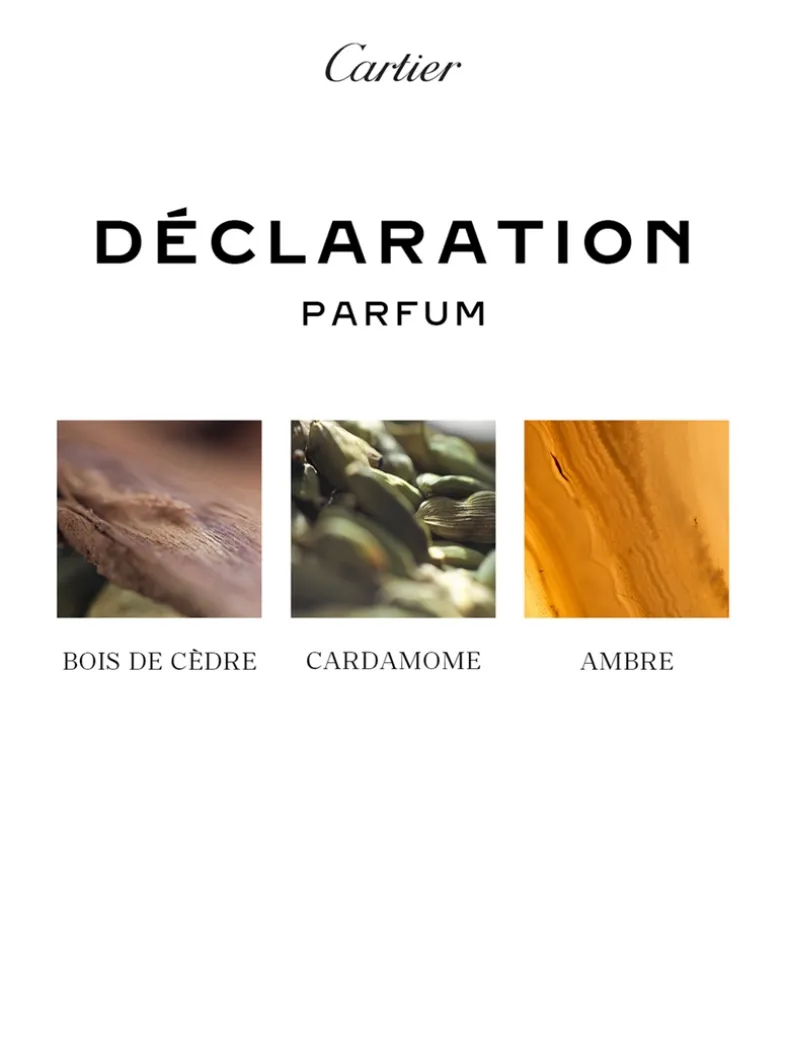 Déclaration Parfum