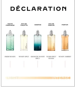 Déclaration Parfum