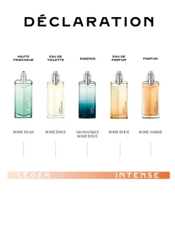 Déclaration Parfum