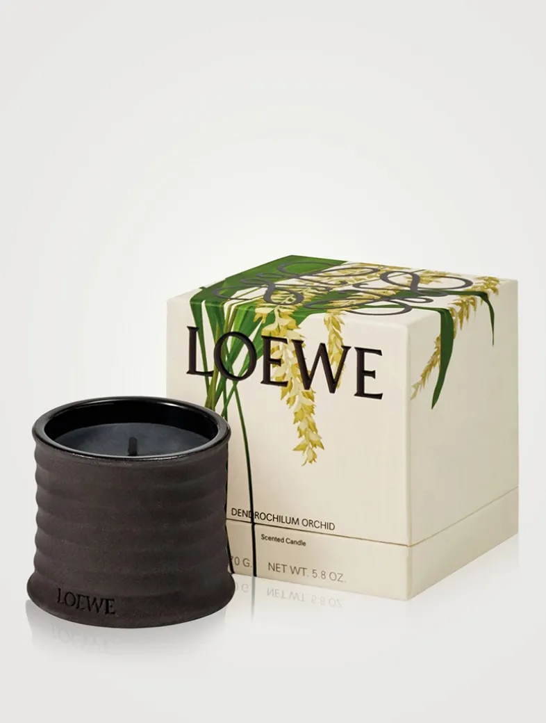 Dendrochilum Candle