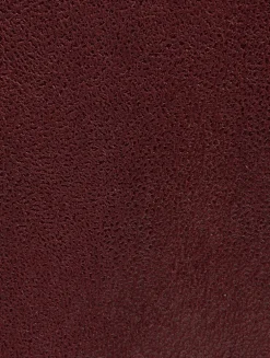 Falabella Tote Bag