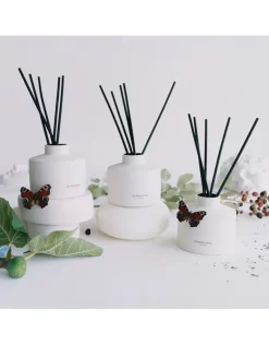 Fresh Fig & Cassis Diffuser