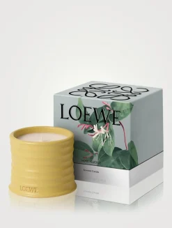 Honeysuckle Candle