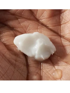 Humidifying Face Cream - Refill