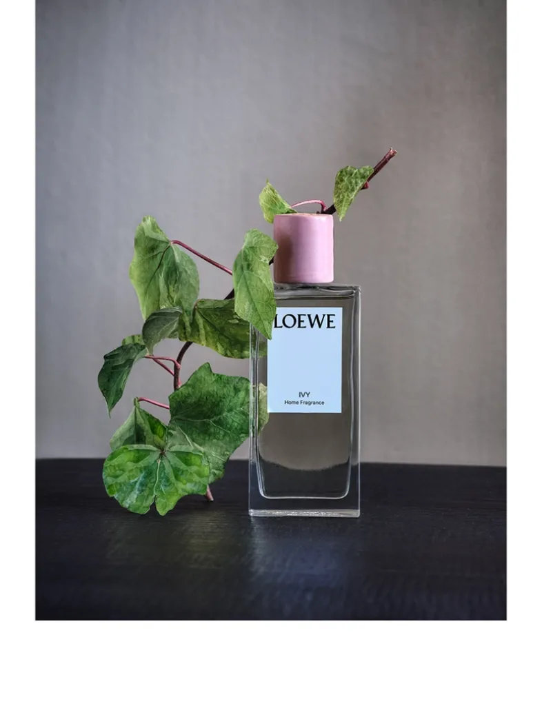 Ivy Home Fragrance