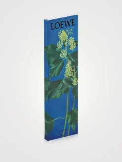 Ivy Incense Refill Sticks