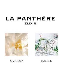 La Panthère Elixir