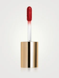 Le Phyto Gloss