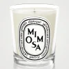 Mimosa Scented Candle