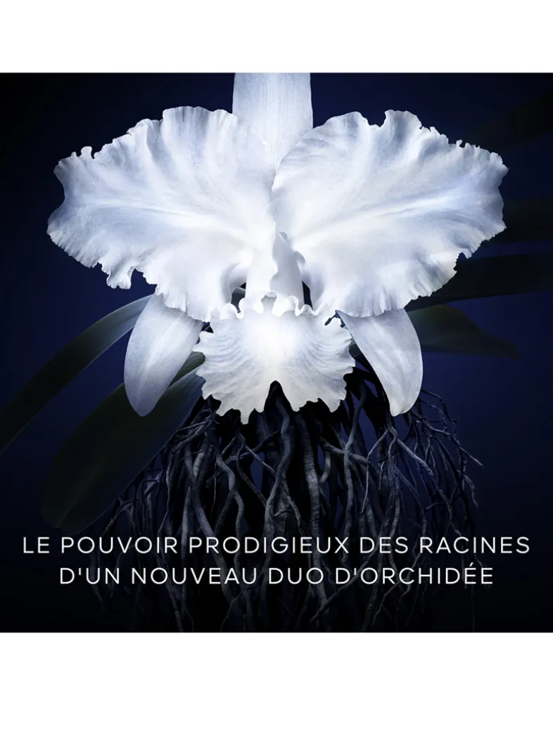Orchidée Impériale The Cream Refill