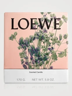 Oregano Candle