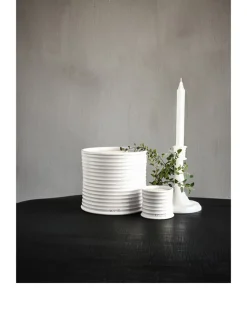 Oregano Candle