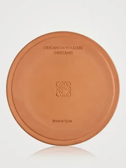 Oregano Candle