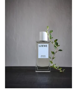 Oregano Home Fragrance