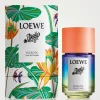 Paula's Ibiza Eclectic Eau de Toilette