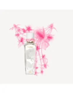 Pure Rose