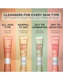 Purifying Gentle Foaming Cleanser
