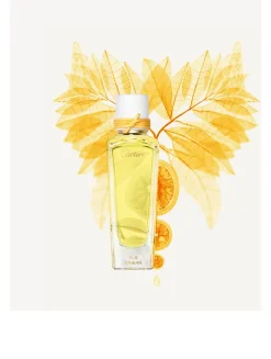 Pur Kinkan Eau de toilette