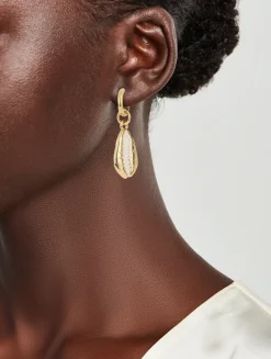 Seashell Earrings