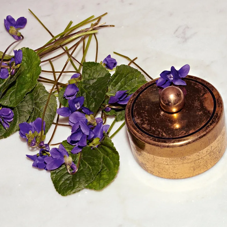 The Alchemist's Garden The Virgin Violet Eau de Parfum
