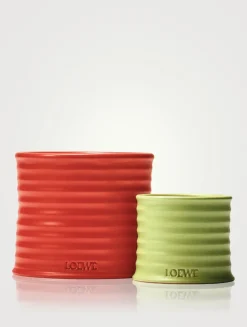 Tomato Leaves Candle