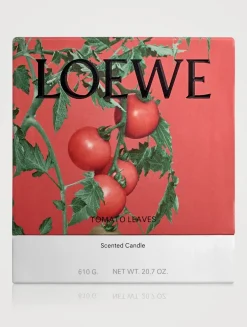 Tomato Leaves Candle