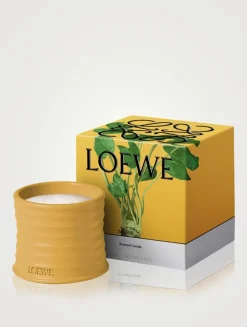 Wasabi Candle