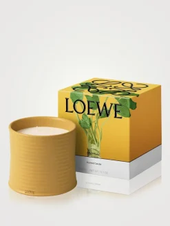 Wasabi Candle