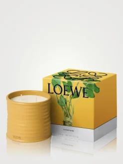 Wasabi Candle